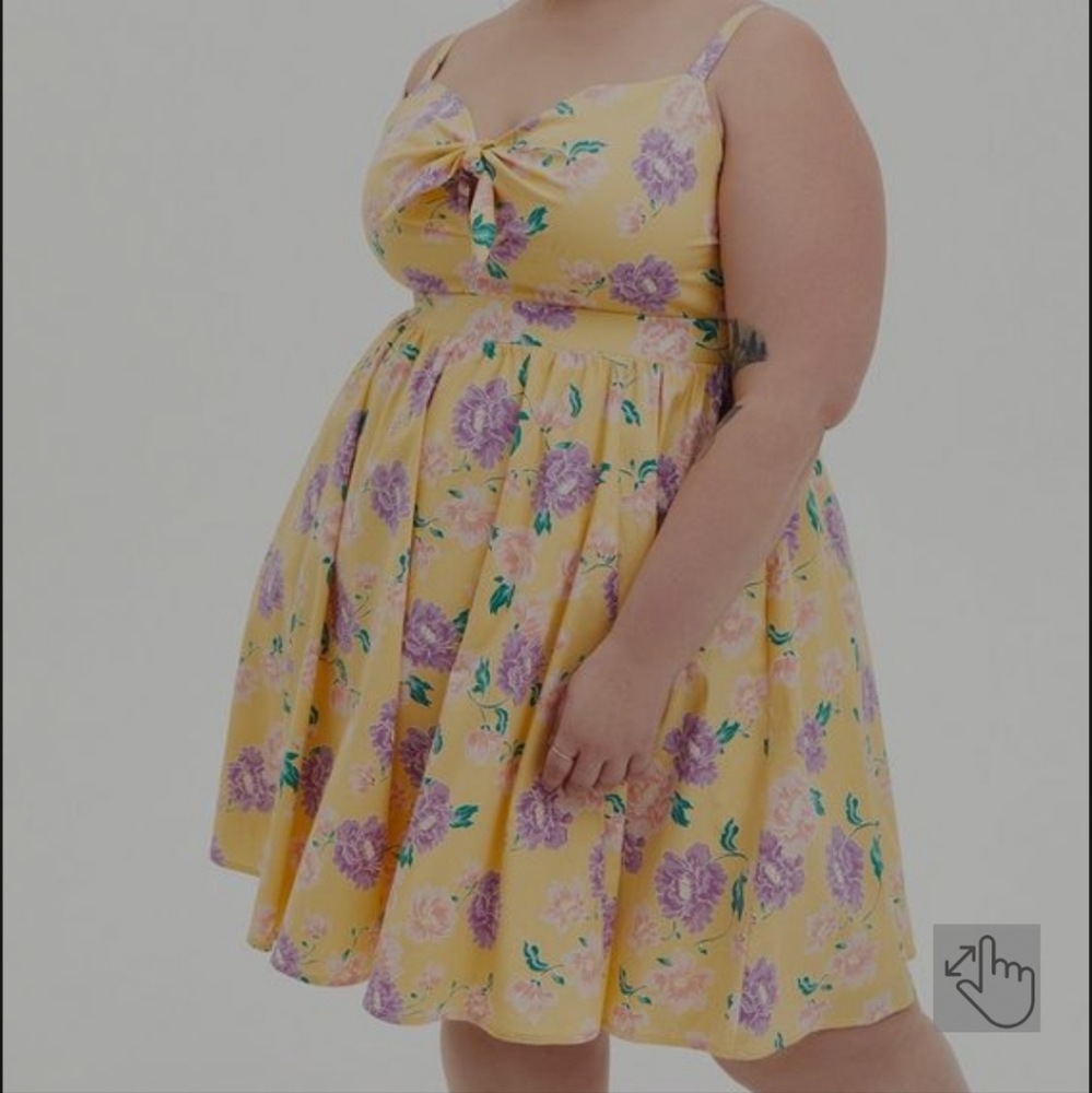 Mini Poplin Tie-Front Skater Dress